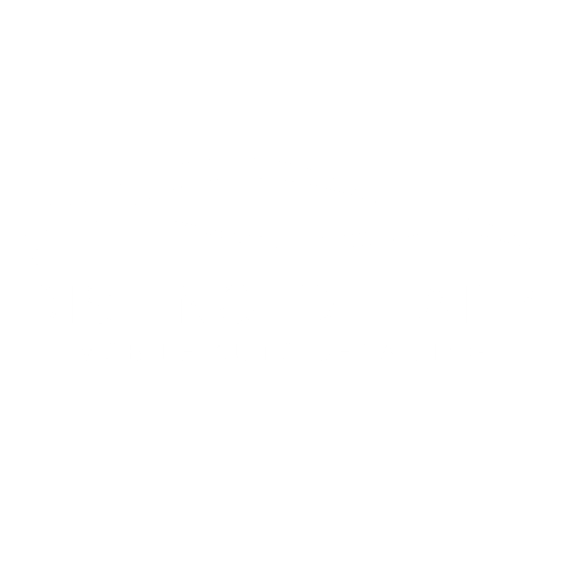 Distinct Detailz Company Logo in White